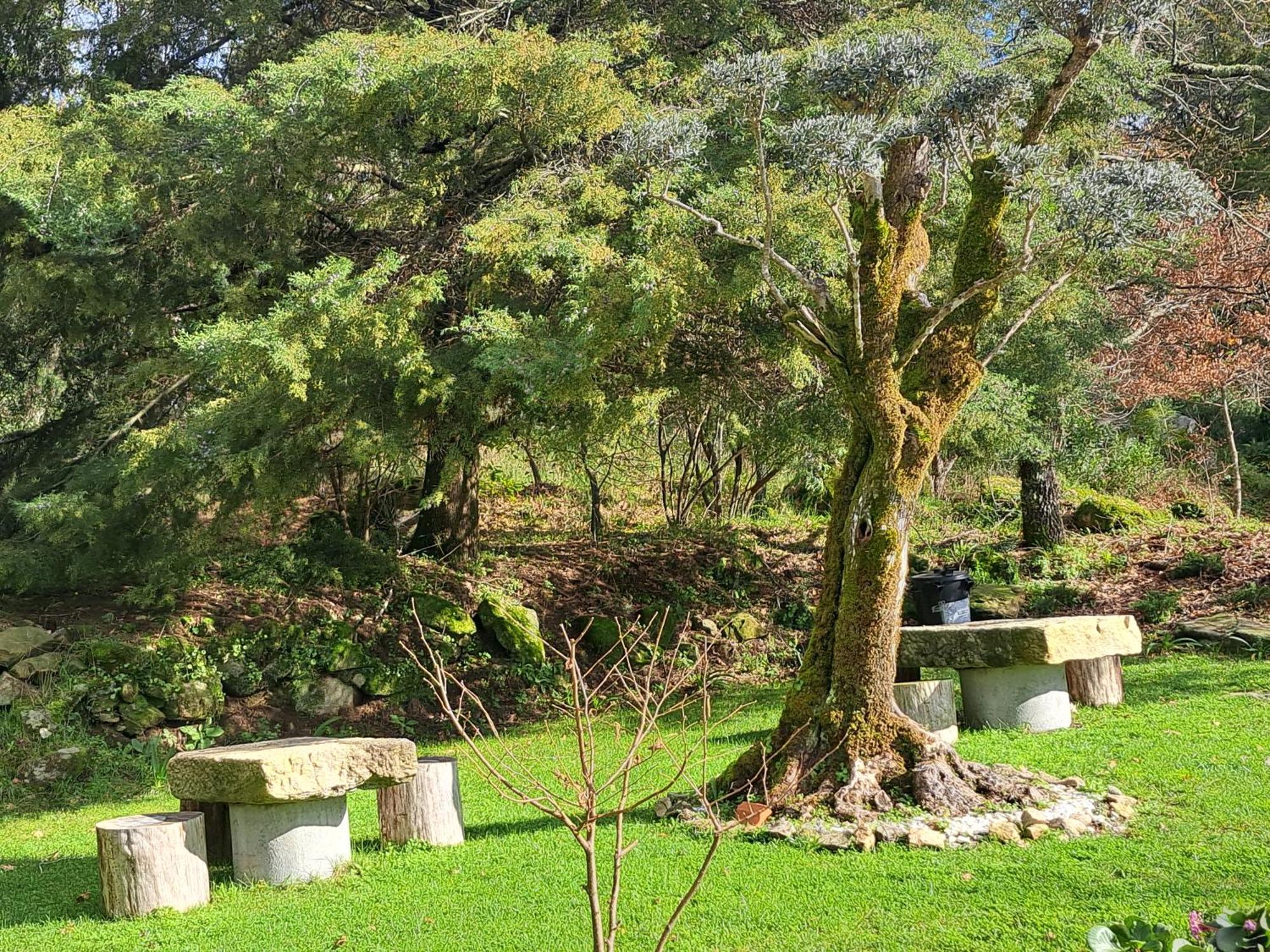 Solar De Almeidinha Mangualde Luaran gambar